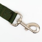 Поводок, 5 м × 3 см, зелёный - Фото 2