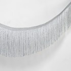 Тесьма декоративная «Бахрома», 10 см, 5 ± 0,5 м, цвет серебряный - фото 319158845