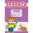 Прописи «Подготовка к школе. Пишем буквы и цифры» - фото 10111942