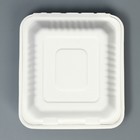Коробка для бенто - торта с вилкой «Для тебя», 21×20×7.5 см, кондитерская (2 шт) - фото 809675509