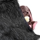 Ткань для рукоделия, мех длинноворсовый на трикотажной основе, тёмно-серая, лоскут 50×50 см - Фото 3