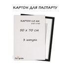 Картон белый для паспарту В2 (50 х 70 см) Calligrata, 650 г/м2, мелованный, 1.0 мм, набор 3 штуки /Финляндия/ 9396109 - фото 10112579