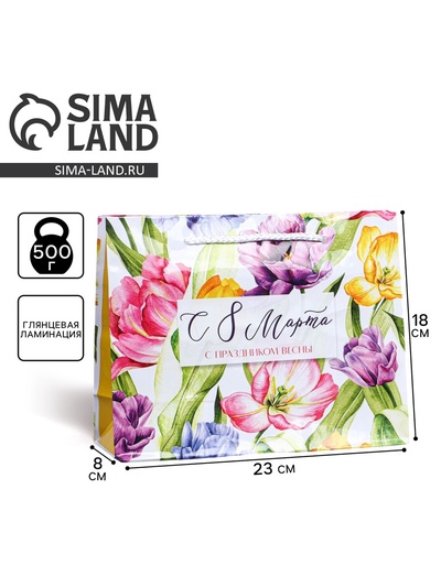Пакет подарочный ламинированный, упаковка, «8 марта», MS 18×23×8 см