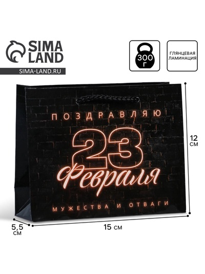 Пакет подарочный ламинированный, упаковка, «С 23 февраля», S 12×15×5.5 см