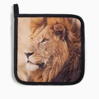 Набор подарочный «Доляна. Глава семьи»: варежка 20×28 см, прихватка 17×17 см, 2 лопатки - Фото 5