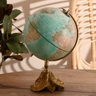 Глобус сувенирный "Ливс" 42 см - фото 10113541