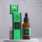 Эфирное масло «Арбуз и мята», 30 мл, «Богатство Аромата» - Фото 1