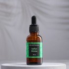 Эфирное масло «Арбуз и мята», 30 мл, «Богатство Аромата» - Фото 2