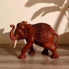 Сувенир "Слон" дерево Суар 25х36 см, резной - фото 4015570