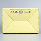 Коробка подарочная сборная, упаковка, «Мимоза», 22 х 15 х 10 см - фото 24448698