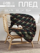 Плед флисовый «Этель. Настоящий защитник», 75×100 см, флис - Фото 1