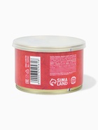 Леденцы монпансье «С праздником 23 февраля!», 140 г - Фото 5