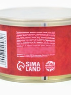 Леденцы монпансье «С праздником 23 февраля!», 140 г - Фото 6