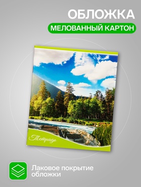 Комплект тетрадей 5 штук, 36 листов в клетку Calligrata «Времена года», обложка мелованный картон, блок офсет