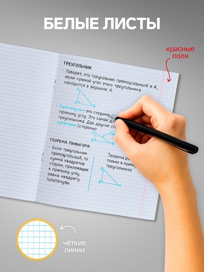 Набор тетрадей 96 листов в клетку, Calligrata «Кошачьи радости», 4 штук