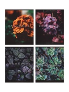 Набор тетрадей 96 листов в клетку, Calligrata Floristics, серые листы, 4 штук - Фото 2