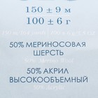 Пряжа для вязания спицами, крючком «Пехорский текстиль. Зимняя премьера», 50% мериносовая шерсть, 50% акрил объёмный, 150 м/100 г, (03 св. бежевый) 9346558 - фото 319835875