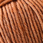 Пряжа "Зимняя премьера" 50%меринос.шерсть, 50% акрил объёмный 150м/100гр (1002-Карамель) - фото 21912193