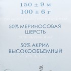 Пряжа "Зимняя премьера" 50%меринос.шерсть, 50% акрил объёмный 150м/100гр (1002-Карамель) - фото 21912194