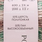 Пряжа "Ровница Мультиколоровая" 50% шерсть, 50% акрил 400м/200гр (1408 М) - фото 7377324
