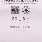 Шерсть для валяния 100% тонкая шерсть 50гр (124-Песочный) - Фото 4