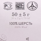 Шерсть для валяния 100% тонкая шерсть 50гр (172 Яр.голубой) - Фото 4
