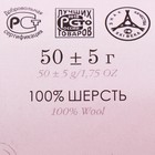 Шерсть для валяния 100% тонкая шерсть 50гр (240 Новый розовый) - Фото 4