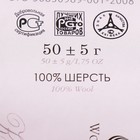 Шерсть для валяния 100% тонкая шерсть 50гр (35 Моренго) - Фото 4