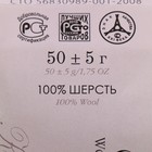 Шерсть для валяния 100% тонкая шерсть 50гр (463 Флавиновый) - Фото 4