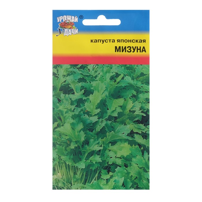 Капуста японская: сорта, выращивание, использование