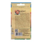 Семена Лук репчатый "Дайтона F1", 0,2 г - Фото 2