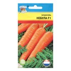 Семена Морковь "Небула F1", 0,2 г - фото 319163658