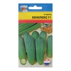 Семена Огурец "Бенилюкс F1 (тип Герман)", 0,25 г - Фото 1