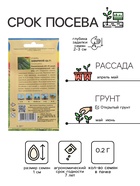 Семена Огурец "ЗАМАРИНУЙ-КА F1", 0,25 г - Фото 2