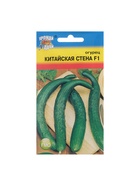 Семена Огурец "КИТАЙСКАЯ СТЕНА F1", 0,25 г - Фото 5