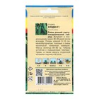 Семена Огурец "Клодин F1", 0,2 г - Фото 2