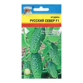 Семена Огурец "РУССКИй "СЕВЕР F1", 0,25 г 9338446