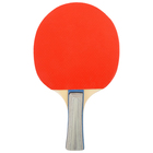 Ракетка для настольного тенниса TACTICS, цвета МИКС - Фото 2
