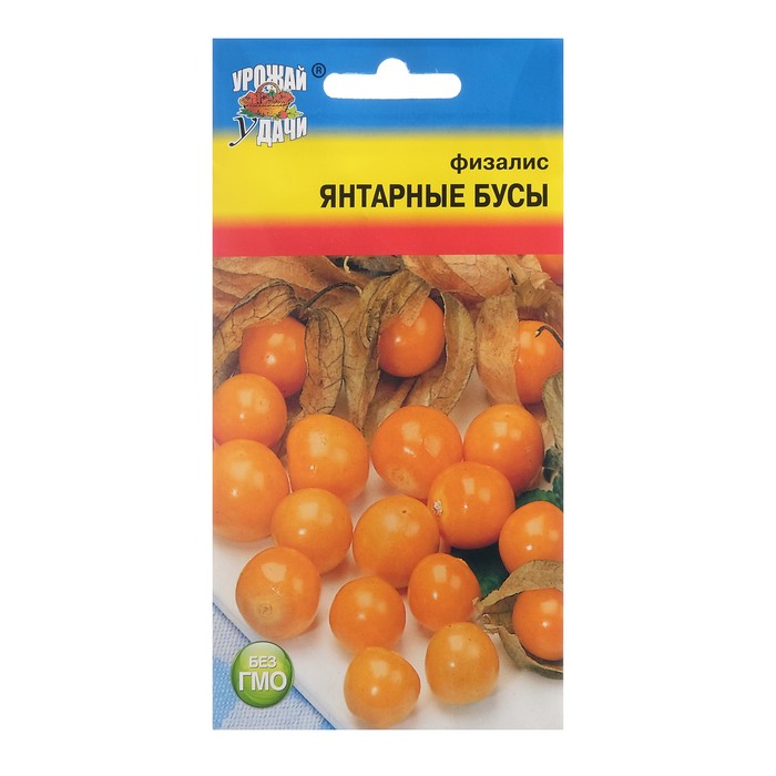 Семена Физалис "ЯНТАРНЫЕ БУСЫ", 0,1 г - Фото 1