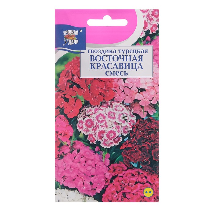 Семена цветов Гвоздика Турецкая "ВОСТОЧНАЯ КРАСАВИЦА", смесь, 0,2 г - Фото 1