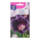 Семена цветов Глоксиния "Импресс Парпл", 3 шт. в амп. - фото 2805524
