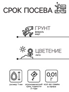 Семена цветов Катарантус «ГОЛИАФ Микс», 0.01 г, «Урожай Удачи» (комплект 2 шт) - фото 32633323