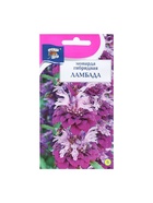 Семена цветов Монарда гибридная «Ламбада», 0.03 г, «Урожай Удачи» - Фото 5