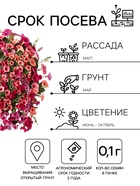 Семена цветов Петуния ампельная «Лавина Розовая F1», 0.01 г, «УРОЖАЙ УДАЧИ» - Фото 2