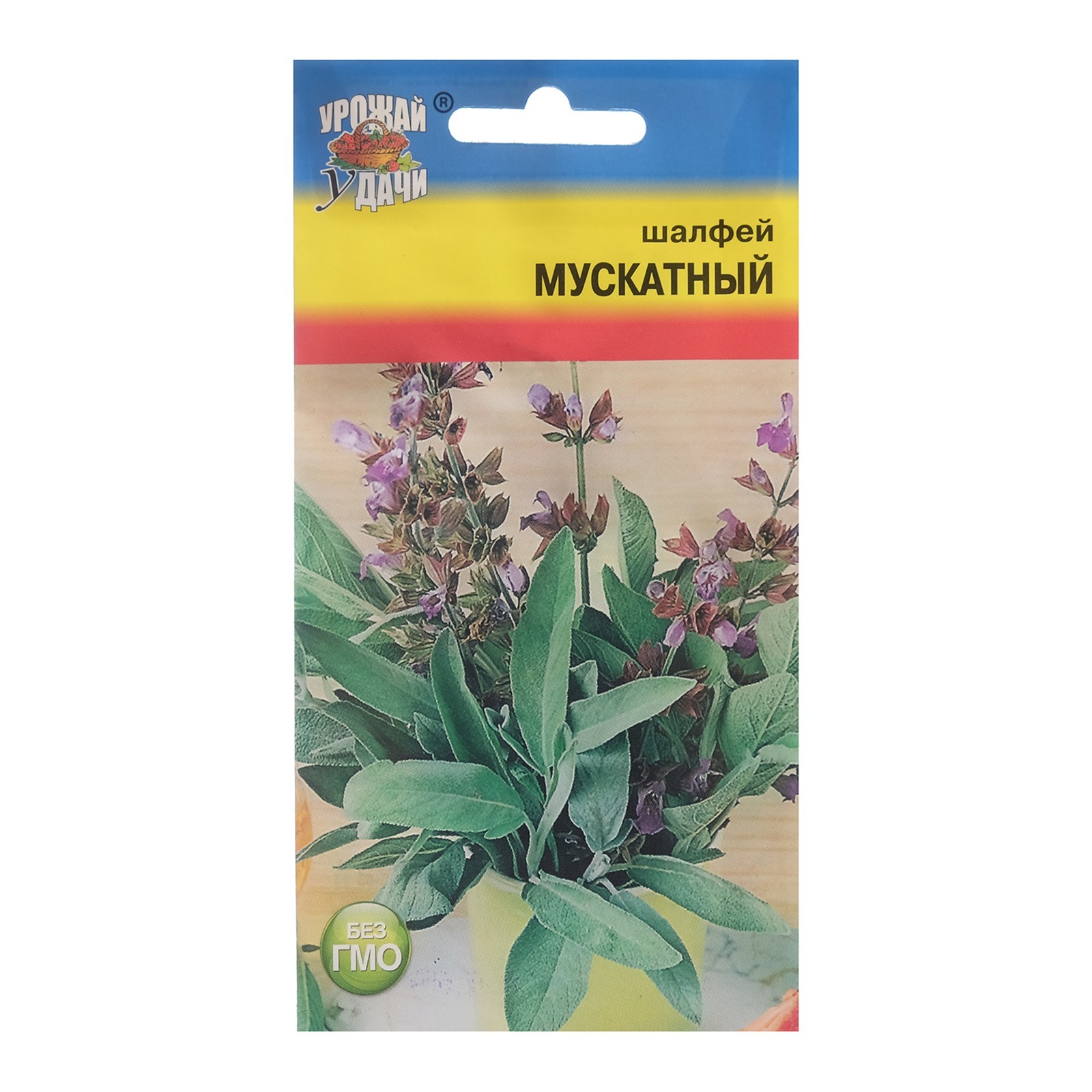 Шалфей Семенами Цена
