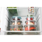 Набор контейнеров пищевых RICCO, 4 шт: 230 мл, 500 мл, 900 мл, 1,55 л, квадрат, цвет ассорти - фото 26135138