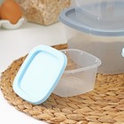 Набор контейнеров пищевых RICCO, 4 шт: 230 мл, 500 мл, 900 мл, 1,55 л, квадрат, цвет ассорти - фото 26135133