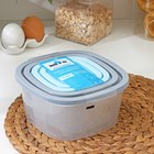 Набор контейнеров пищевых RICCO, 4 шт: 230 мл, 500 мл, 900 мл, 1,55 л, квадрат, цвет ассорти - фото 26135136