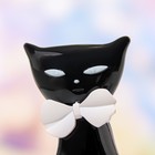 Туалетная вода женская CAT FANCY, 50 мл - фото 32190376