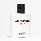 Туалетная вода мужская ALLIGATORE BLANC, 100 мл 9381973 - фото 2415797